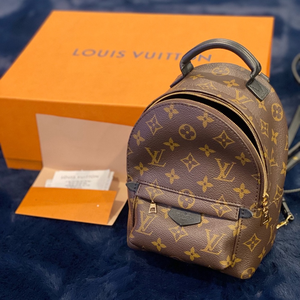 LV Palm Spring Mini Bag